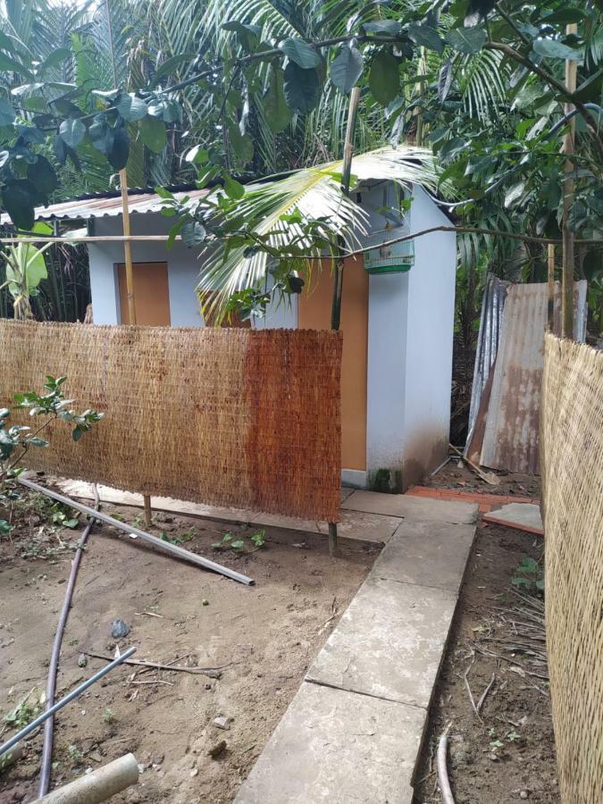 Mecong Homestay ベンチェ エクステリア 写真